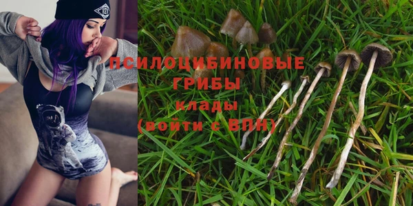 MDMA Premium VHQ Алзамай