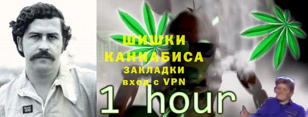 прущий лед Абаза