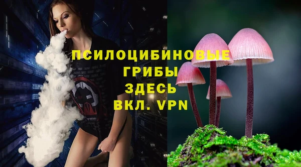 MDMA Premium VHQ Алзамай