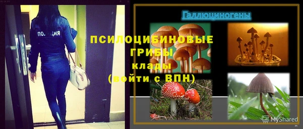 соль курить ск Алексеевка